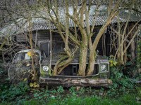 Groot-cmentarzysko-samochodow-cars-graveyard-Belgium-Belgia-verlaten-plekken-urbex-urban-exploration-abandoned-miejsca-opuszczone-urbex.net_.pl-4
